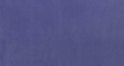 Микрофибра Diva (Дива) 313