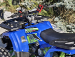 Lion 125 A lite синий
