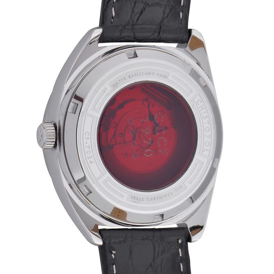 Наручные часы CCCP CP-7024-02 Chistopol