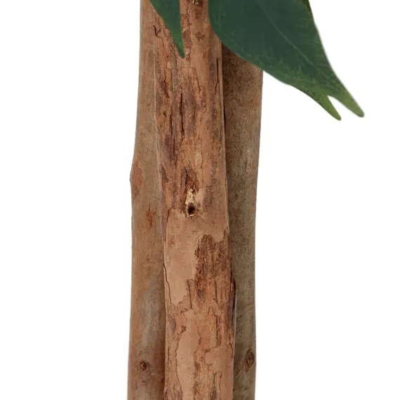 Фикус Бенжамина высота 180 см