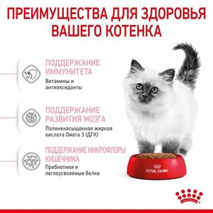 Сухой корм Royal Canin Kitten для котят в период второй фазы роста до 12 месяцев