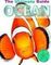 D64 Ultimate Guide Oceans
