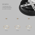 Светильник подвесной RAYDIA, 40 Вт, 3000–4000К, ?600?1500 мм, металл+акрил, матовое золото, свет вве