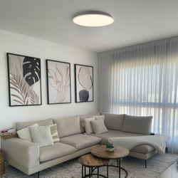 Светильник Потолочный White Loft It Brim 10226