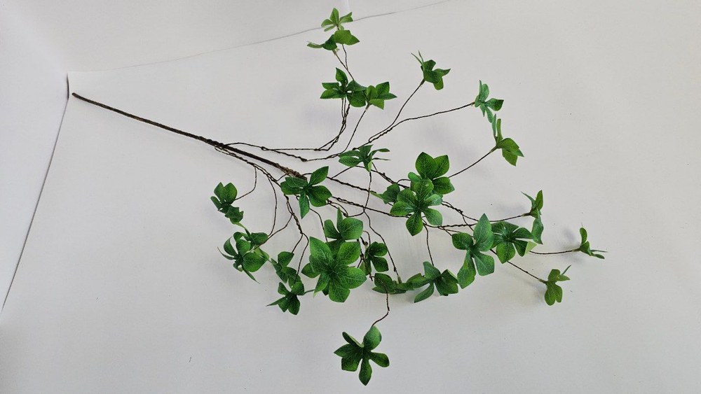 Шеффлера Компакта / Арт 1079