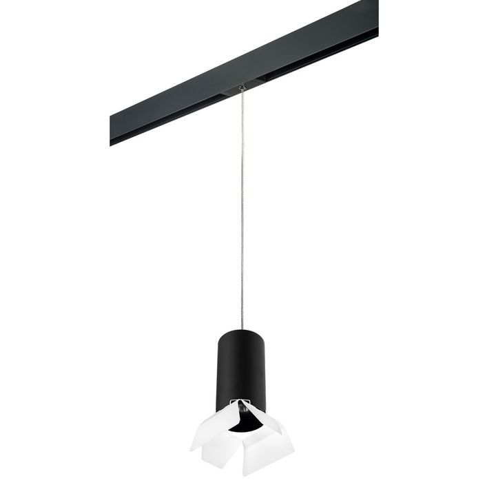 Комплект с трековым светильником Lightstar Rullo (216487+595887+202486) PRORP6487486