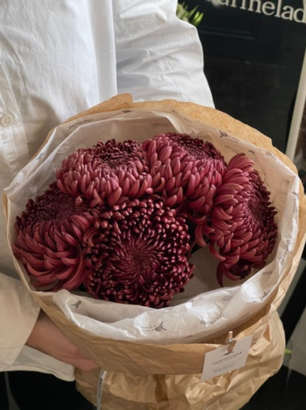 Моно из одноголовой хризантемы бордового оттенка ПОВТОР