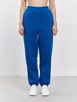 Брюки женские с начесом (синий)