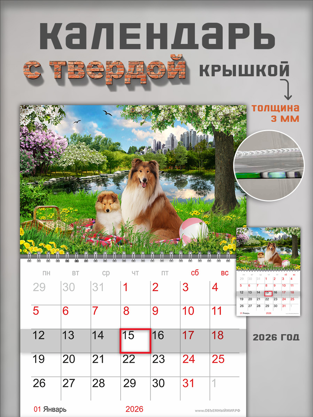 Настенный отрывной календарь "Собаки колли"