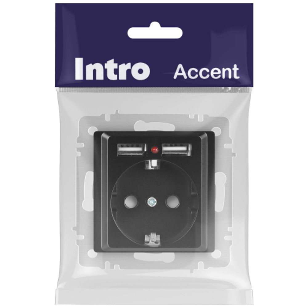 Розетка Intro Accent 6-410-05 , P+E Schuko со шторками, 16А-250В + 2хUSB, IP20, СУ, антрацит