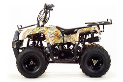 Квадроцикл MOTOLAND 110 Rider (2021 Г.)