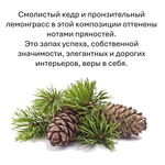 Кедр и лемонграсс, кубики восковые для ароматизации, 10 штук