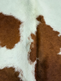 Коровья шкура на пол натуральная. 200 х 190 см