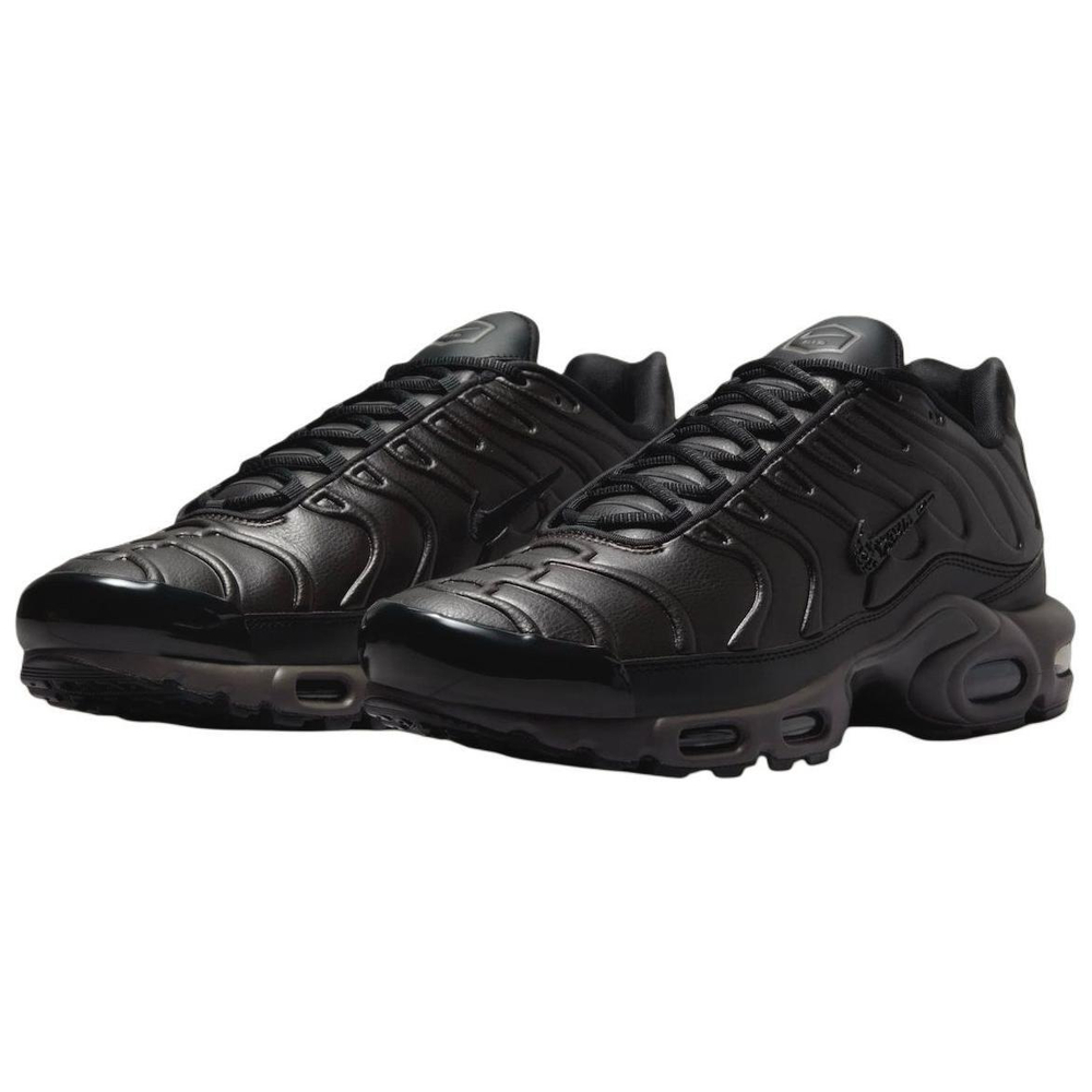 Кроссовки Nike Air Max Plus Black Tea