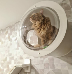настенный домик для кошки с иллюминатором