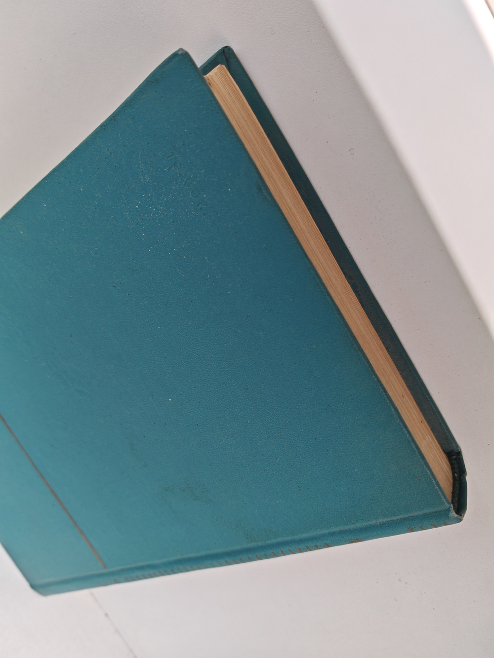 Свет над заставой