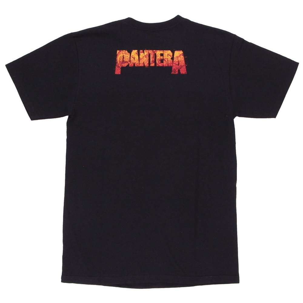 Футболка Pantera ( Guitar / Snake )