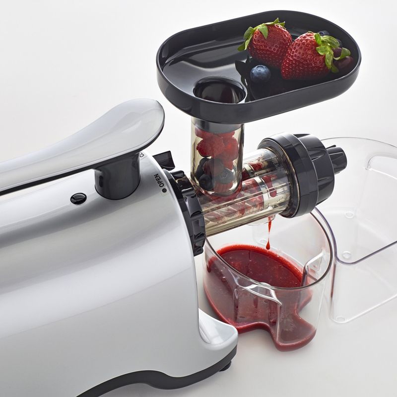 Twin gear juicer deals