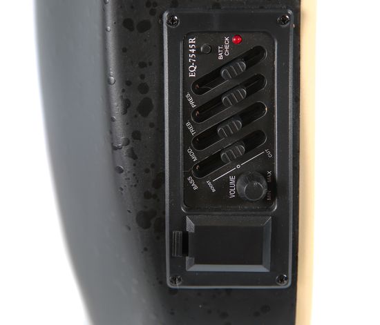 Электроакустическая гитара Fabio W164E BK