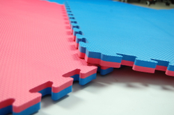 Будо-маты SPORT ПВХ (татами) (1 плита 100х100х2 см)