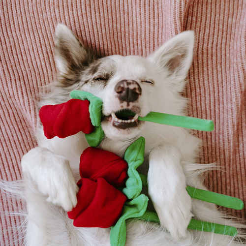 Любовь без слов ❤️