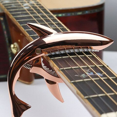 Каподастр Акула