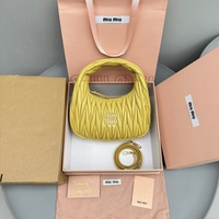 Miu Miu Wander Hobo Bag 20 cm