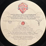 David Sanborn - Hideaway (США 1980г.)