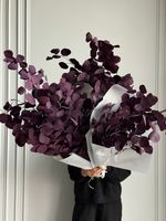 Охапка эвкалипта в красном оттенке 5 шт