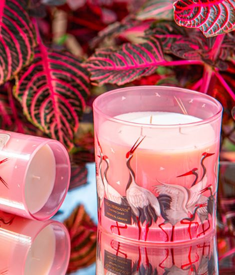 Tropical Garden, свеча Jungletopia collection, Vila Hermanos