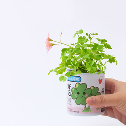 Набор для выращивания растений "Vegetables"