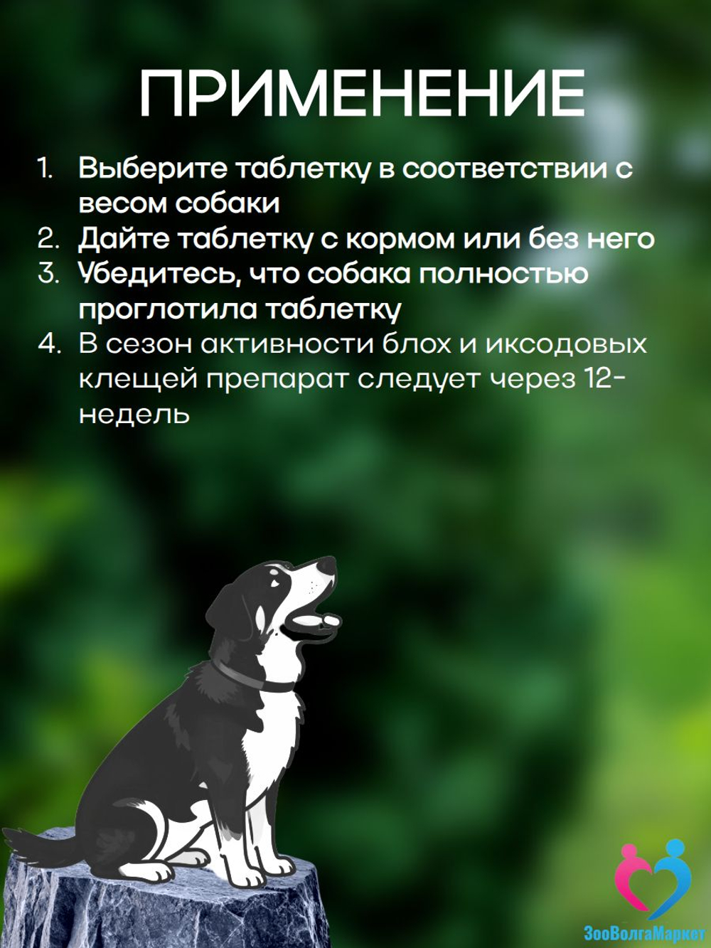 Рабектра 500 мг жевательная таблетка против блох и клещей для собак весом 10-20 кг, 1 таблетка