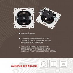 Розетка влагозащищенная с заземлением и со шторкой с крышкой Arte Milano am-205 205.41-1.shampan