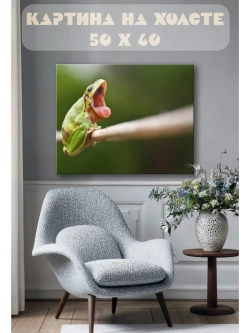 Картина на стену 40 X 50 Лягушка