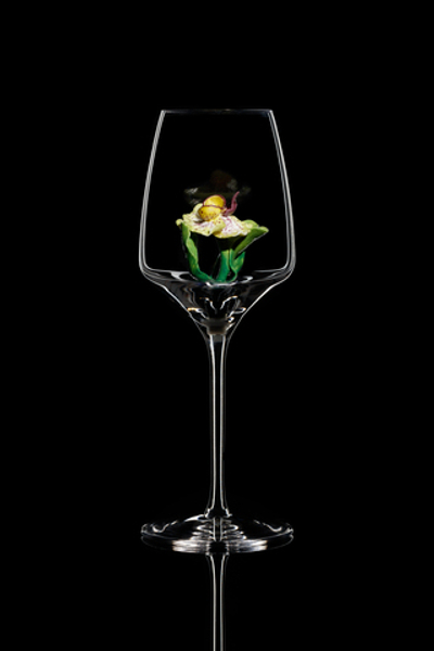 Бокал для белого вина. Орхидея Каттлея. Высокая.