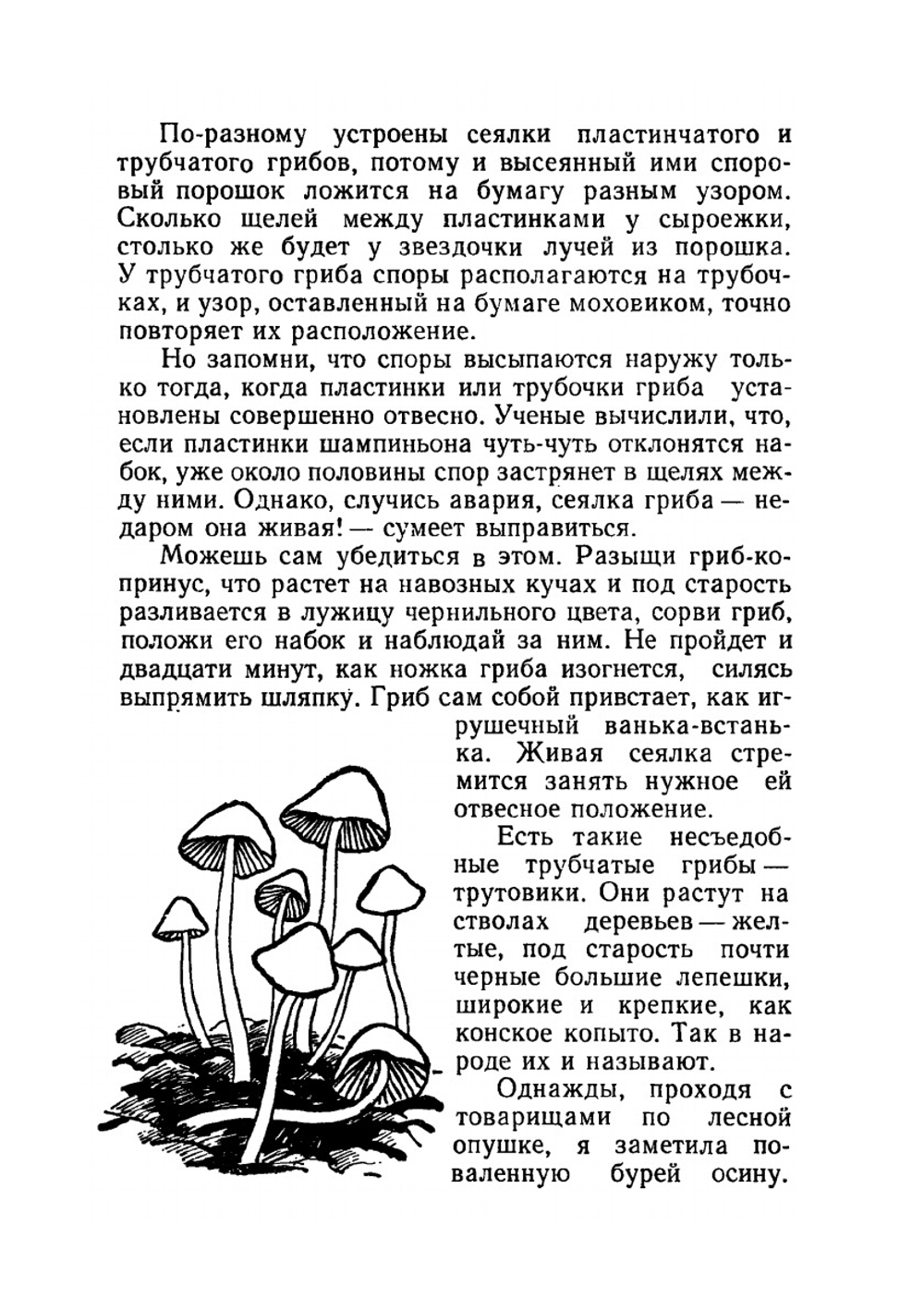 Полное лукошко | Н. Надеждина