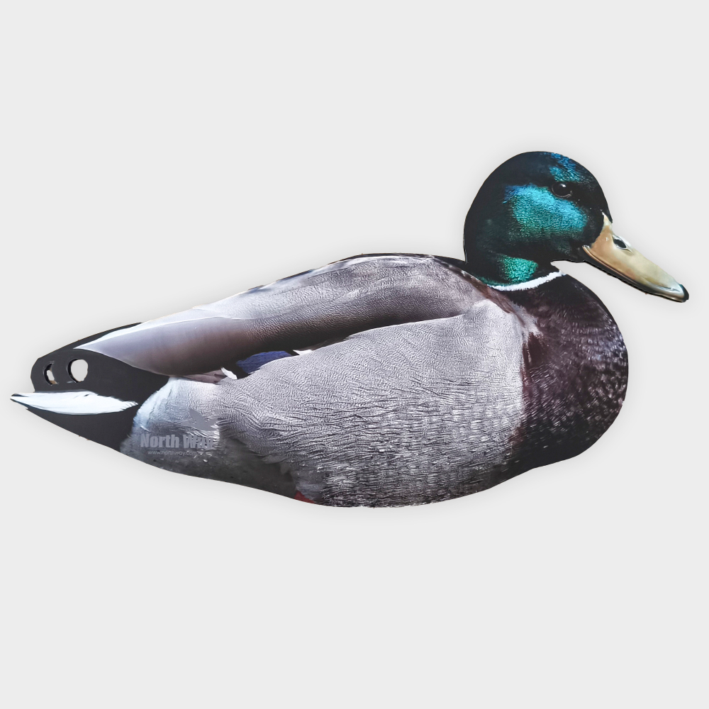 Кряква полевая 12 шт.