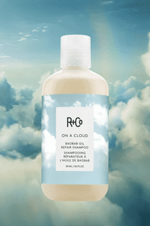 R+Co ON A CLOUD - Восстановление