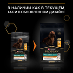 Сухой корм PRO PLAN EVERYDAY NUTRITION для взрослых собак мелких и карликовых пород курица 7 кг