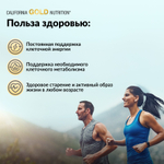 California Gold Nutrition, комплекс флавоноидов с NMN, апигенином и дигидрокверцетином, 60 растительных капсул