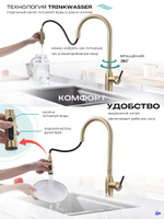 Смеситель PAULMARK для кухни с выдвижным изливом под фильтр, модель UNIVERSAL Un213880-SBG