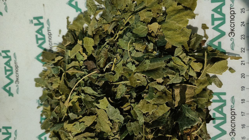 Шелковица лист (Тутовое дерево) Россия 2025 год (мешок 22-23кг)