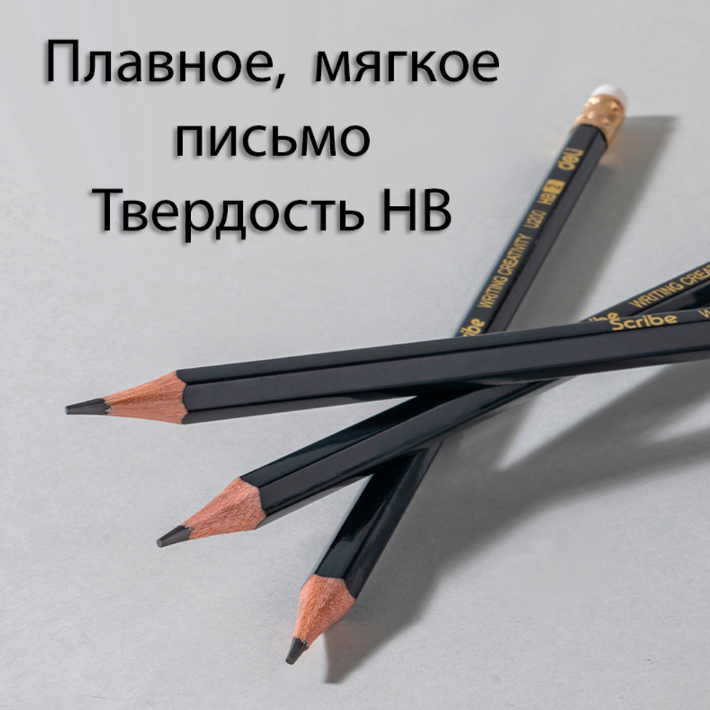 Карандаш DELI "Scribe", НВ, шестигранный корпус, дерево, с ластиком, темно-синий
