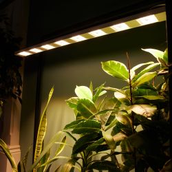 ULT-P71B-100W-SPFB-L105 WHITE WINTERGARDEN Светильник светодиодный накладной. Спектр для фотосинтеза. Корпус белый. Угол 60 градусов. ТМ Uniel