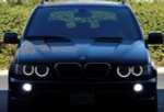 Ангельские глазки BMW X 5 E 53 ( Белые) Дорест
