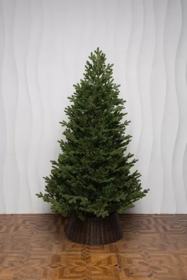 Искусственная елка Измайловская 240 см., 100% литая хвоя, 1900 мульти LED ламп, 10 режимов, ЕлкиТорг (57240)