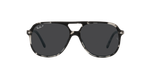 RAY-BAN BILL 2198 133348
