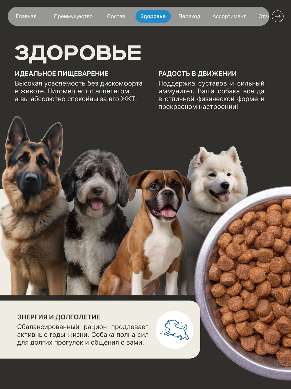 Корм сухой для взрослых собак средних пород, премиум полнорационный комплекс, забота о здоровье печени, с лососем, 12 кг, QUATTRO