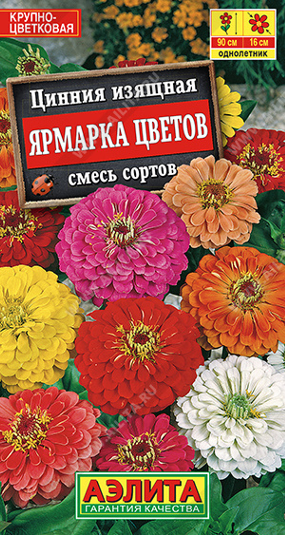 Цинния изящная Ярмарка цветов, смесь