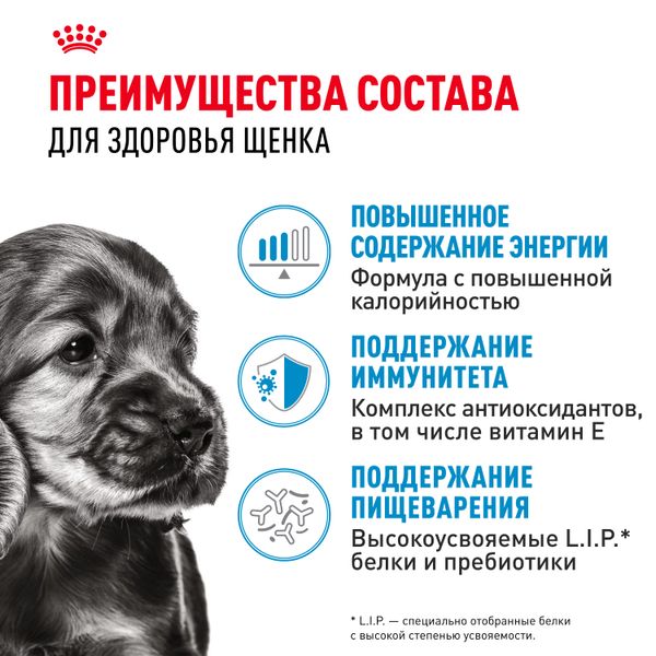 Пауч Royal Canin Mini Puppy для щенков мелких пород в возрасте до 10 месяцев, кусочки в соусе